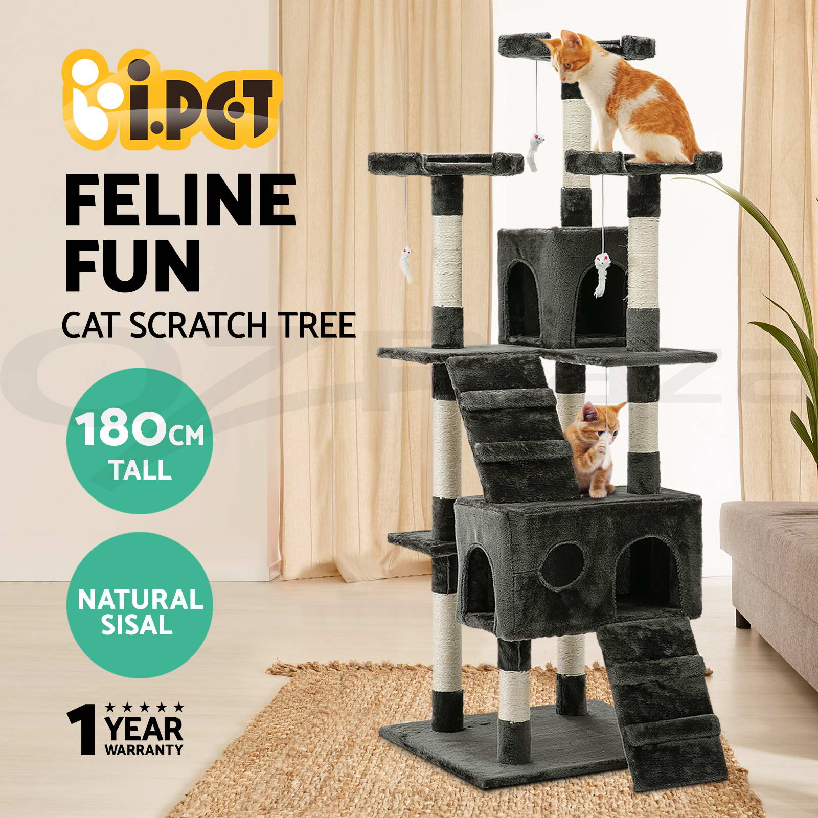 cat pole toy