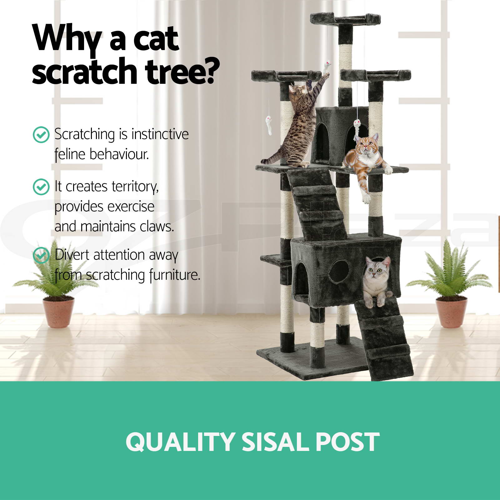 cat pole toy