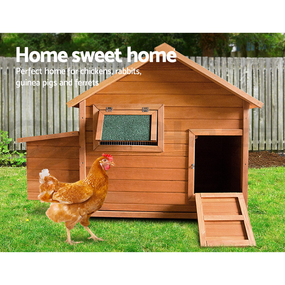 Home For Chicken