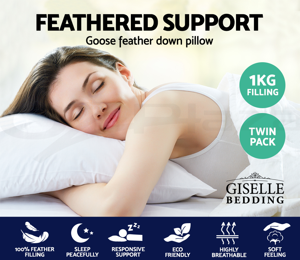 PILLOW-GOOSE-X2-WP00.jpg