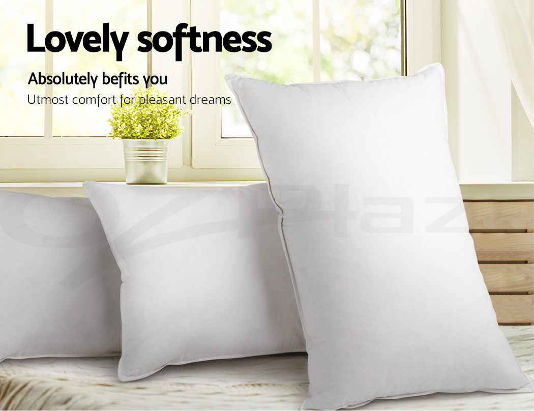 PILLOW-GOOSE-X2-WP06.jpg